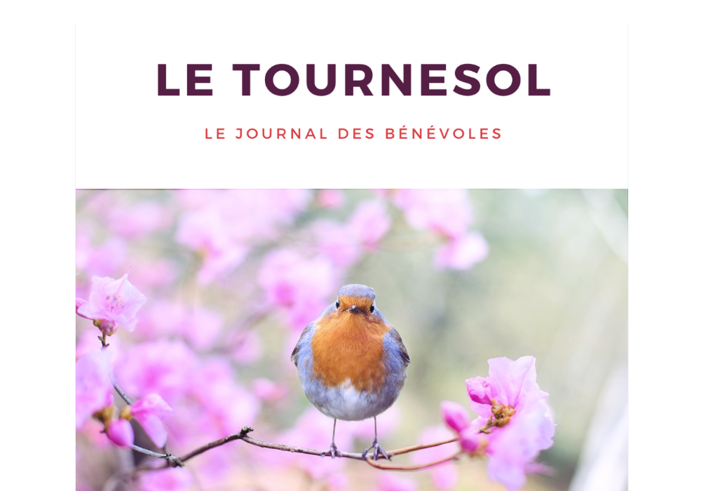 Le journal des b&eacute;n&eacute;voles &eacute;dition printemps 2024